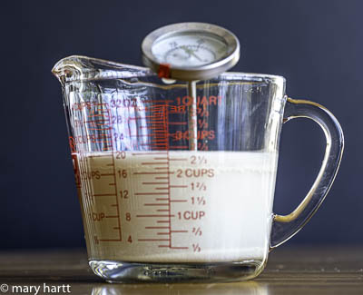 photo of yeast mixture in measuring cup